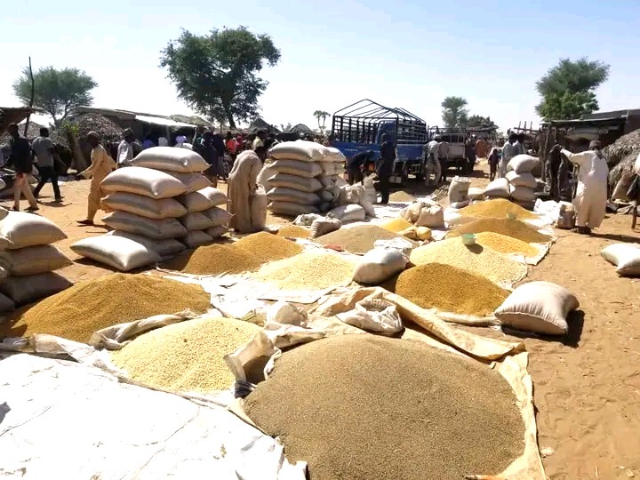 CEREAL-1-1 Deuxième anniversaire de l’avènement du CNSP : Le Président de la République se réjouit des résultats du Programme de la Grande Irrigation