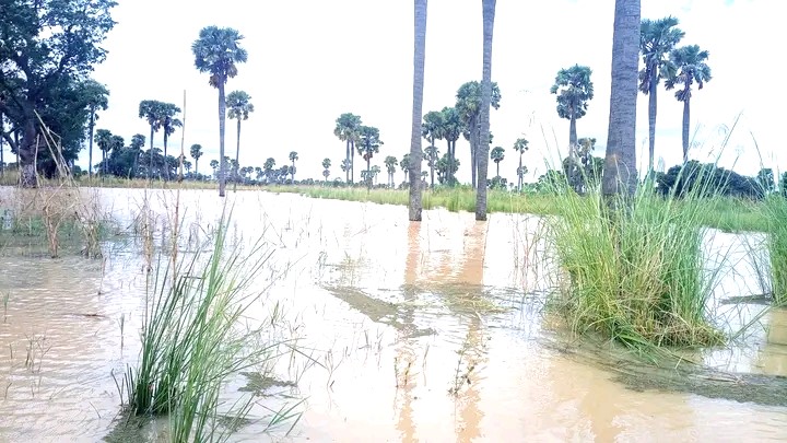 INONDATION-2 Inondations 2025 au Niger : 47 décès enregistrés à la date du 20 aout